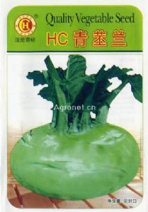 HC青苤兰—苤兰种子