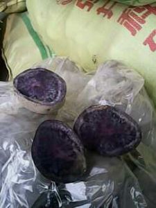 供应紫色马铃薯
