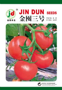 供应金囤三号—番茄种子