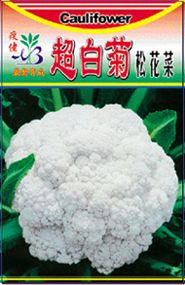 超白菊松花菜-花椰菜种子