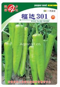 供应福达301—辣椒种子