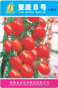 供应亚蔬8号——番茄品种