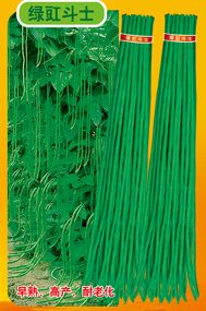供应绿豇斗士—豇豆种子