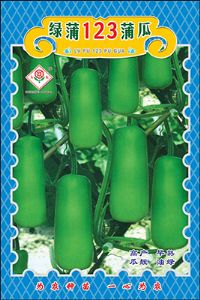 供应绿蒲123蒲瓜—节瓜种子