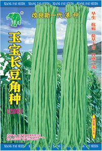 改良新一代港种玉宝长豆角种(208)——玉豆角种子