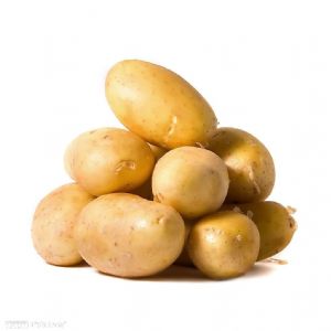 供应土豆（地膜）