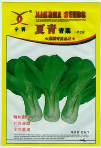 供应夏青—青梗菜种子