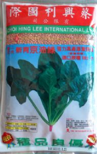 供应京油绿182—菠菜种子