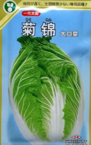 供应菊锦白菜—白菜种子