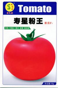 寿星粉王-番茄种子