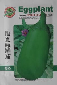 供应旭光绿罐茄—茄子种子