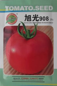 供应旭光908—番茄种子