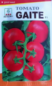 供应GAITE—番茄种子