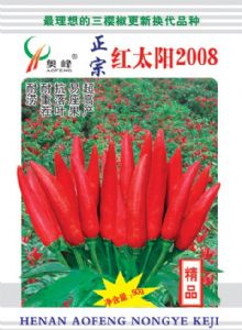 供应红太阳2008—朝天椒种子