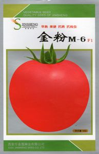 供应金粉M-6—番茄种子