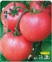 供应精选金纳斯—番茄种子