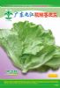 九江玻璃生菜——生菜类种子