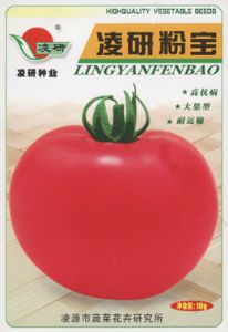 供应凌研粉宝——番茄种子