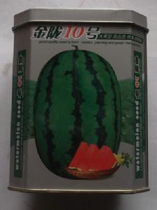 供应金陇10号—西瓜种子
