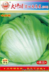 供应大坪铺空心肉芥菜（338）—芥菜种子
