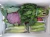 供应蔬菜组合装菠菜，花椰菜，西葫芦