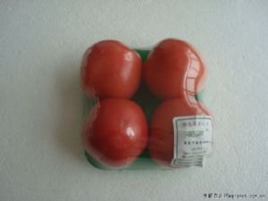 供应无公害番茄