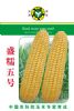 供应盛糯五号—玉米种子