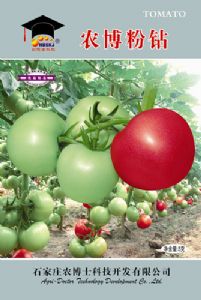 供应农博粉钻—番茄种子