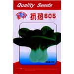 供应抗热605—青梗菜种子