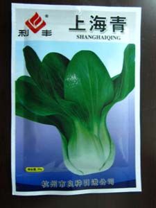 供应上海青—青梗菜种子
