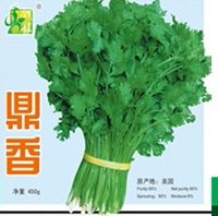 供应鼎香——香菜种子