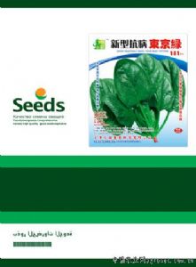 供应新型抗病东京绿—菠菜种子