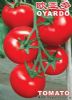 供应欧亚多－大红番茄种子