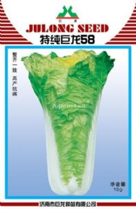 供应巨龙58—白菜种子