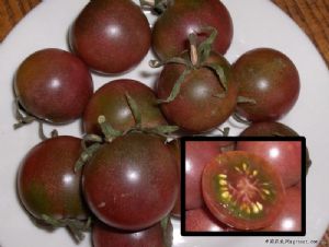 供应紫蜜儿—紫黑色樱桃番茄种子