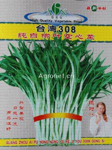 供应台湾308白空心菜种子