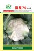 供应福星70—花椰菜种子