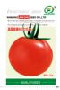 供应美国超级903大红番茄—番茄种子
