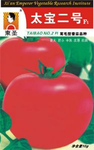 供应太宝二号——番茄种子