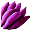 供应紫心薯