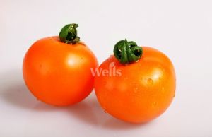 供应黄小丫F1—番茄种子