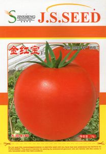 供应金红宝—番茄种子