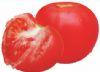 供应金满园—番茄种子