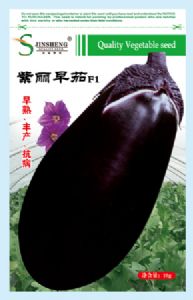 供应紫丽早茄—茄子种子