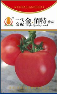 供应一代金佰特番茄—番茄种子