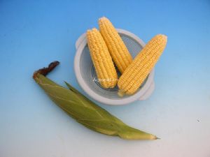 供应台湾超甜玉米种子