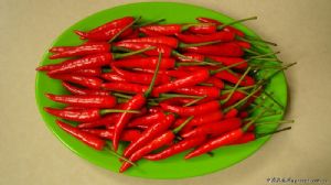 供应亚洲红-朝天椒种子