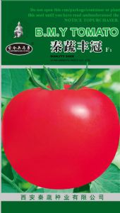 供应秦蔬丰冠——番茄种子