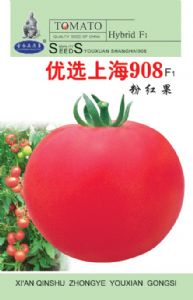 供应优选上海908——番茄种子