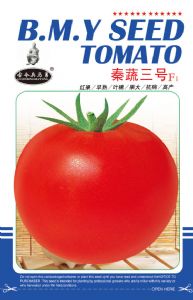 供应秦蔬三号——番茄种子